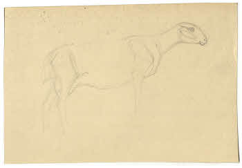 Visualizza l'immagine "FD D 159"